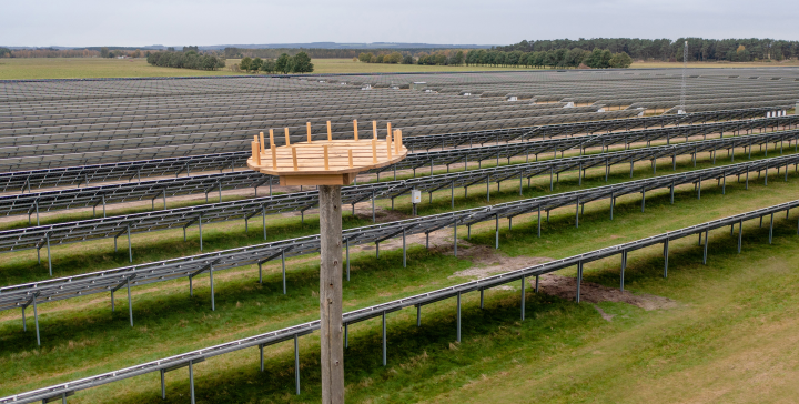 Sveriges största solcellspark invigd i Sjöbo
